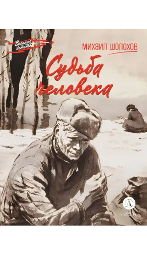 Детская книга "ВД Шолохов. Судьба человека" - 550 руб. Серия: Военное детство , Артикул: 5800822