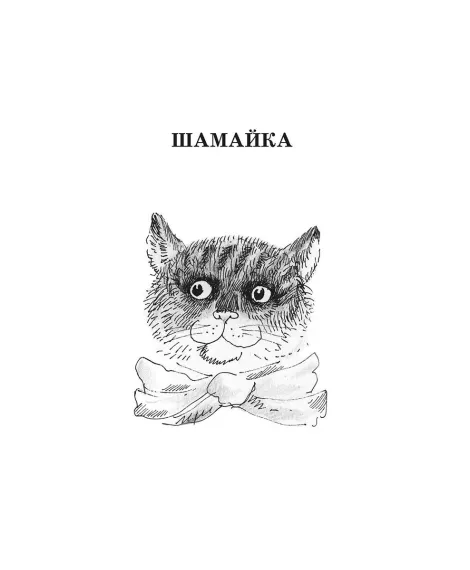 Детская книга "ШБ Коваль. Шамайка" - 450 руб. Серия: Школьная библиотека, Артикул: 5200228