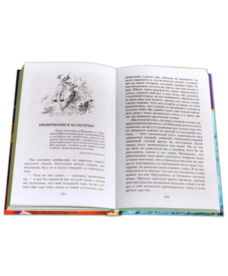 Детская книга "ШБ По. Золотой жук" - 530 руб. Серия: Школьная библиотека, Артикул: 5200328