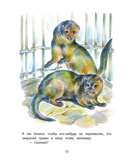 Детская книга "КзК Житков. Рассказы о животных" - 350 руб. Серия: Книга за книгой , Артикул: 5400544