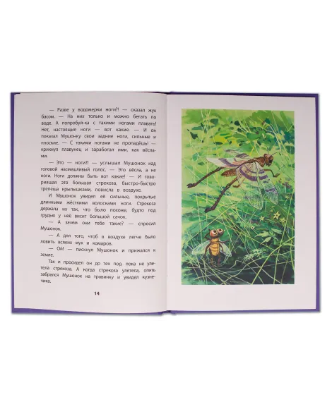 Детская книга "КзК Дмитриев. Сказки про Мушонка и его друзей (тверд переплет)" - 340 руб. Серия: Книга за книгой , Артикул: 5400501
