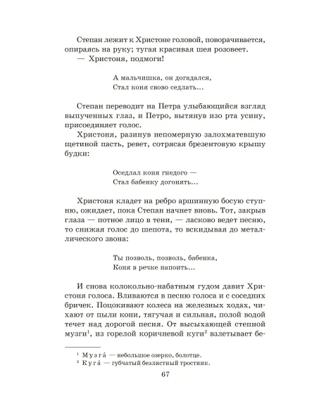 Детская книга "ШБ Шолохов. Тихий Дон книга 1" - 810 руб. Серия: Школьная библиотека, Артикул: 5200414