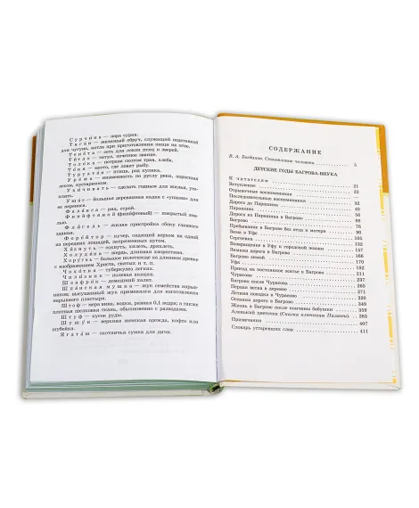 Детская книга "ШБ Аксаков. Детские годы Багрова-внука" - 480 руб. Серия: Школьная библиотека, Артикул: 5200005