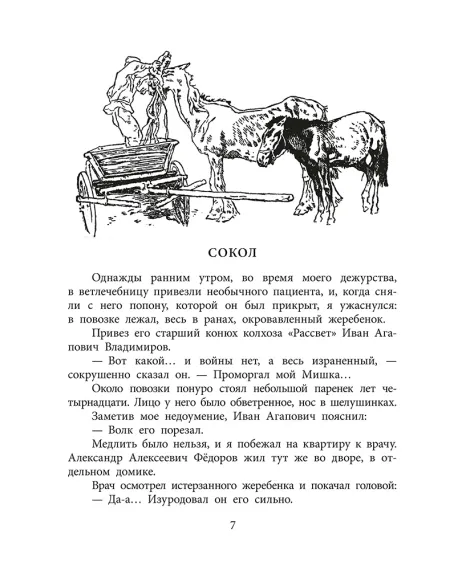 Детская книга "ВД Великанов. Пират, ищи!" - 550 руб. Серия: Военное детство , Артикул: 5800830
