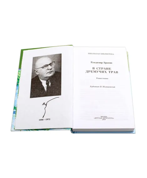 Детская книга "ШБ Брагин. В стране дремучих трав" - 595 руб. Серия: Школьная библиотека, Артикул: 5200327