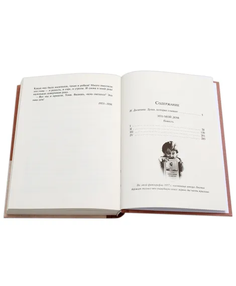 Детская книга "Вигдорова. Это мой дом" - 832 руб. Серия: Пятый переплёт , Артикул: 5400414