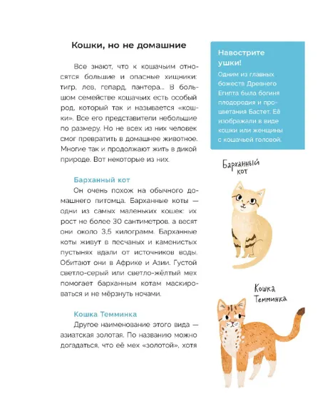 Детская книга "Ухаживаю за питомцем. Хочу котенка!" - 530 руб. Серия: Книжные новинки, Артикул: 5330002