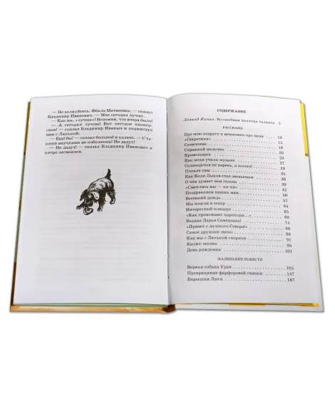 Детская книга "ШБ Пивоварова. О чем думает моя голова" - 390 руб. Серия: Школьная библиотека, Артикул: 5200110