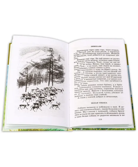 Детская книга "ШБ Снегирев. Умный дикобраз" - 252 руб. Серия: Школьная библиотека, Артикул: 5200023