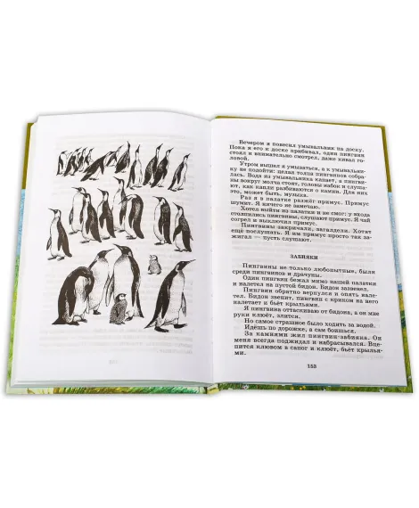 Детская книга "ШБ Снегирев. Умный дикобраз" - 252 руб. Серия: Школьная библиотека, Артикул: 5200023