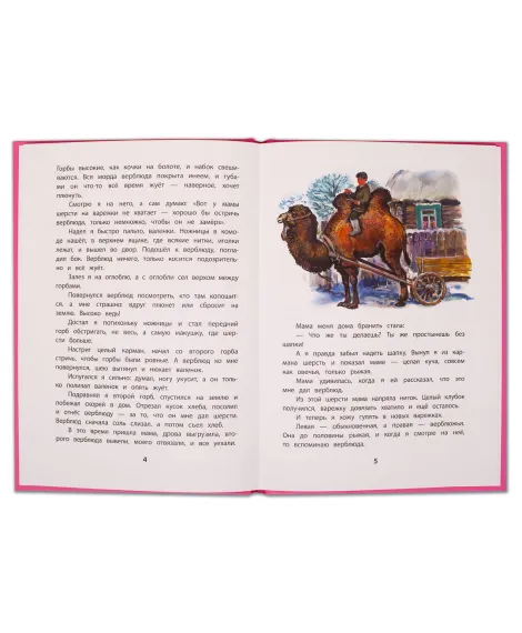 Детская книга "КзК Снегирёв. Хитрый бурундук (тверд переплет)" - 208 руб. Серия: Книга за книгой , Артикул: 5400511