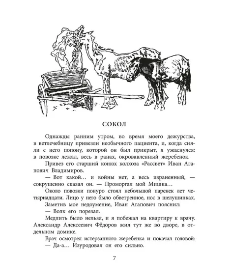 Детская книга "ВД Великанов. Пират, ищи!" - 550 руб. Серия: Военное детство , Артикул: 5800830