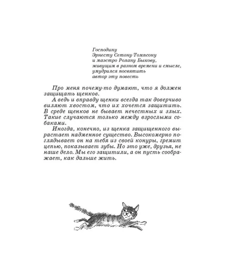 Детская книга "ШБ Коваль. Шамайка" - 450 руб. Серия: Школьная библиотека, Артикул: 5200228