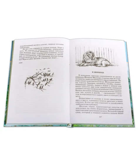 Детская книга "ШБ Куприн. Белый пудель" - 390 руб. Серия: Школьная библиотека, Артикул: 5200142
