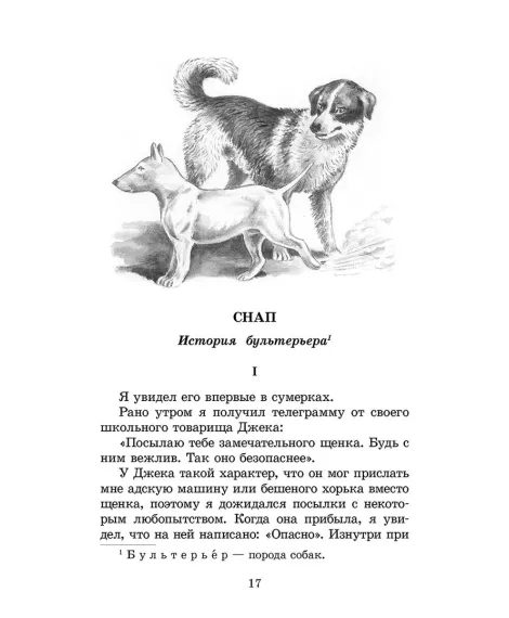 Детская книга "ШБ Сетон-Томпсон. Рассказы о животных" - 390 руб. Серия: Школьная библиотека, Артикул: 5200103