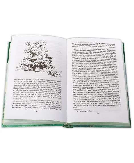 Детская книга "ШБ ТолстойЛ. Война и мир т.2(компл4т)" - 580 руб. Серия: 10 класс, Артикул: 5200027
