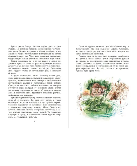 Детская книга "НМ Зиганшин. Маха, или История жизни кунички" - 520 руб. Серия: Наша марка , Артикул: 5701037