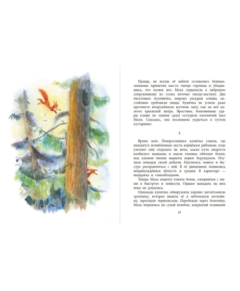 Детская книга "НМ Зиганшин. Маха, или История жизни кунички" - 520 руб. Серия: Наша марка , Артикул: 5701037