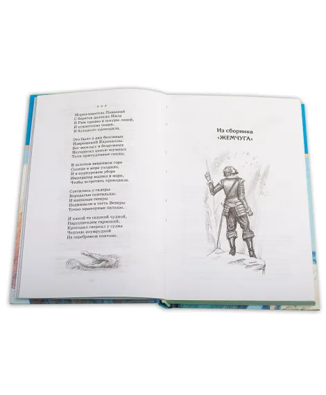 Детская книга "ШБ Гумилев. "Я конквистадор в панцире железном..."" - 360 руб. Серия: Школьная библиотека, Артикул: 5200201