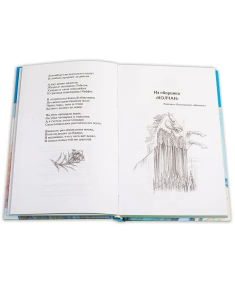 Детская книга "ШБ Гумилев. "Я конквистадор в панцире железном..."" - 360 руб. Серия: Школьная библиотека, Артикул: 5200201