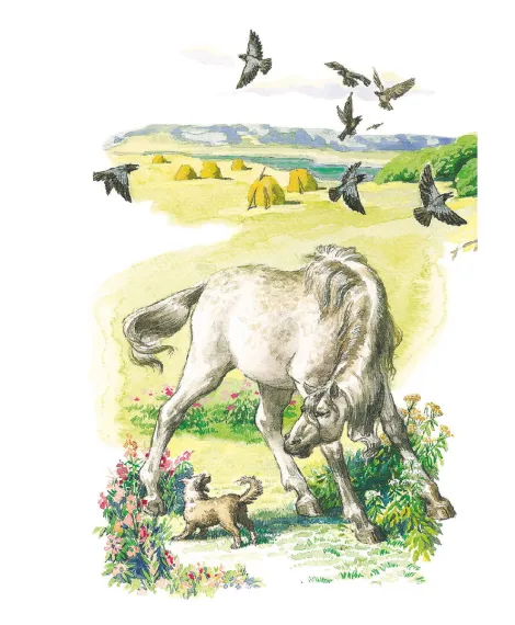 Детская книга "КзК Белов. Про Мальку" - 400 руб. Серия: Книга за книгой , Артикул: 5400534