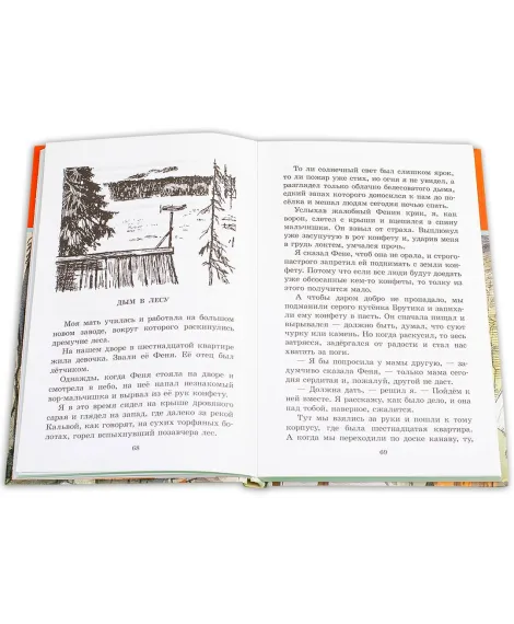Детская книга "ШБ Гайдар. Тимур и его команда" - 490 руб. Серия: Школьная библиотека, Артикул: 5200381