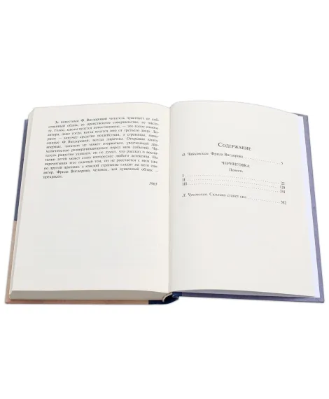 Детская книга "Вигдорова. Черниговка" - 832 руб. Серия: Пятый переплёт , Артикул: 5400415