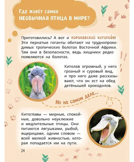 Детская книга "Лева и Лиза знакомятся с необычными животными" - 400 руб. Серия: Лёва и Лиза в поисках ответов, Артикул: 5320004