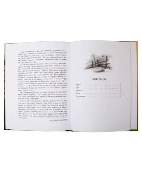 Детская книга "ВД Сафонов. Землянка" - 550 руб. Серия: Военное детство , Артикул: 5800810