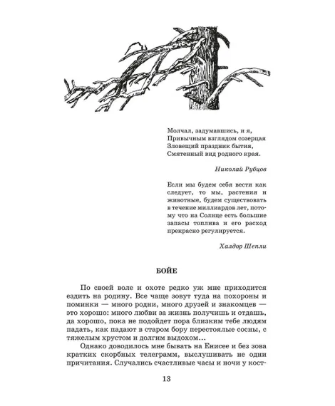 Детская книга "ШБ Астафьев. Царь-рыба (худ. Мурышева)" - 710 руб. Серия: Школьная библиотека, Артикул: 5200397