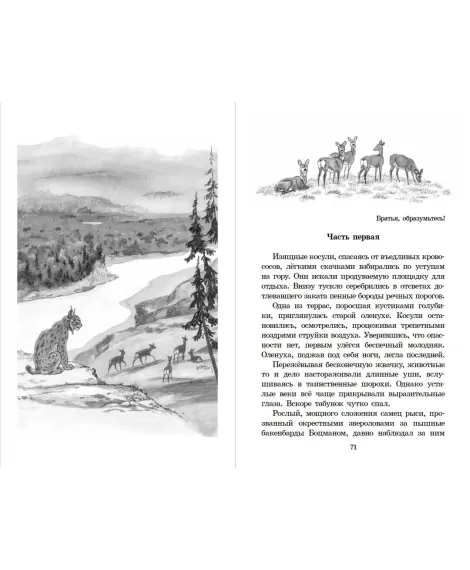 Детская книга "ШБ Зиганшин. Таежными тропами" - 750 руб. Серия: Школьная библиотека, Артикул: 5200384