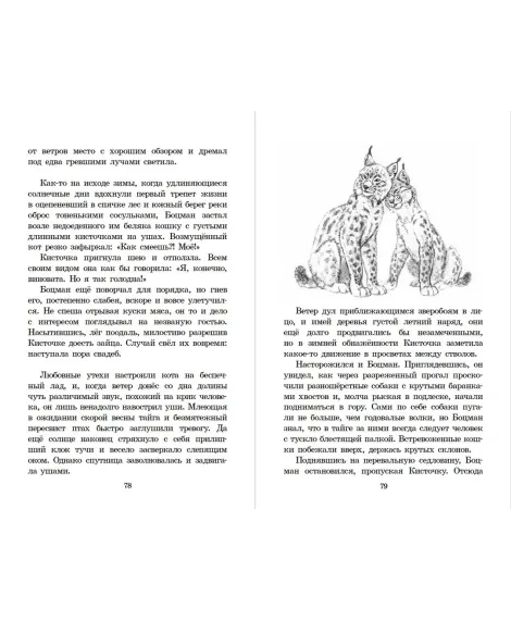 Детская книга "ШБ Зиганшин. Таежными тропами" - 750 руб. Серия: Школьная библиотека, Артикул: 5200384