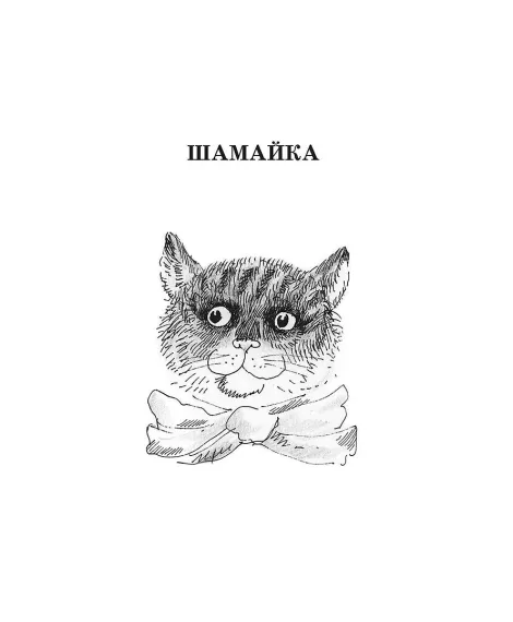 Детская книга "ШБ Коваль. Шамайка" - 450 руб. Серия: Школьная библиотека, Артикул: 5200228