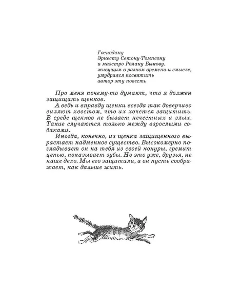 Детская книга "ШБ Коваль. Шамайка" - 450 руб. Серия: Школьная библиотека, Артикул: 5200228