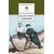 Детская книга "ШБ Катаев. Белеет парус одинокий" - 649 руб. Серия: Школьная библиотека, Артикул: 5200351