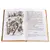 Детская книга "ШБ Коваль. Кепка с карасями" - 517 руб. Серия: Школьная библиотека, Артикул: 5200012