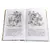 Детская книга "ШБ Железников. Чучело" - 447 руб. Серия: Школьная библиотека, Артикул: 5200215