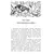 Детская книга "ШБ Крапивин. Прохождение Венеры по диску Солнца" - 663 руб. Серия: Школьная библиотека, Артикул: 5200386