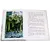 Детская книга "ДВОВ Алексеев. Поклон победителям" - 416 руб. Серия: Детям о Великой Отечественной войне , Артикул: 5800604