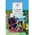 Детская книга "ШБ В стране легенд" - 504 руб. Серия: Школьная библиотека, Артикул: 5200067