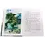 Детская книга "ДВОВ Алексеев. Победа под Курском" - 487 руб. Серия: Детям о Великой Отечественной войне , Артикул: 5800607