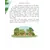 Детская книга "Африканские сказки. Антилопа и черепаха" - 538 руб. Серия: Дом сказок, Артикул: 5506029