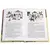 Детская книга "ШБ Соловьев. Возмутитель спокойствия" - 435 руб. Серия: Школьная библиотека, Артикул: 5200363