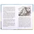 Детская книга "ШБ Митяев. Рассказы о русском флоте" - 440 руб. Серия: Школьная библиотека, Артикул: 5200378