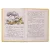 Детская книга "КзК Бианки. Кто чем поёт? (тверд переплет)" - 366 руб. Серия: Книга за книгой , Артикул: 5400512