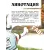 Детская книга "Зенюк. Гуси-Лебеди (автограф)" - 530 руб. Серия: У нас в Котофеевке, Артикул: 5508027