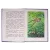 Детская книга "КзК Дмитриев. Сказки про Мушонка и его друзей (тверд переплет)" - 340 руб. Серия: Книга за книгой , Артикул: 5400501