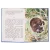 Детская книга "КзК Мамин-Сибиряк. Алёнушкины сказки (тверд переплет)" - 340 руб. Серия: Книга за книгой , Артикул: 5400504