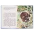 Детская книга "КзК Мамин-Сибиряк. Алёнушкины сказки (тверд переплет)" - 340 руб. Серия: Книга за книгой , Артикул: 5400504