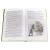 Детская книга "ШБ Дефо. Робинзон Крузо" - 430 руб. Серия: Летнее чтение, Артикул: 5200092